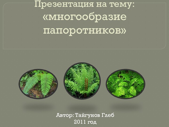 Презентация на тему: «многообразие папоротников»Автор: Тайгунов Глеб2011 год