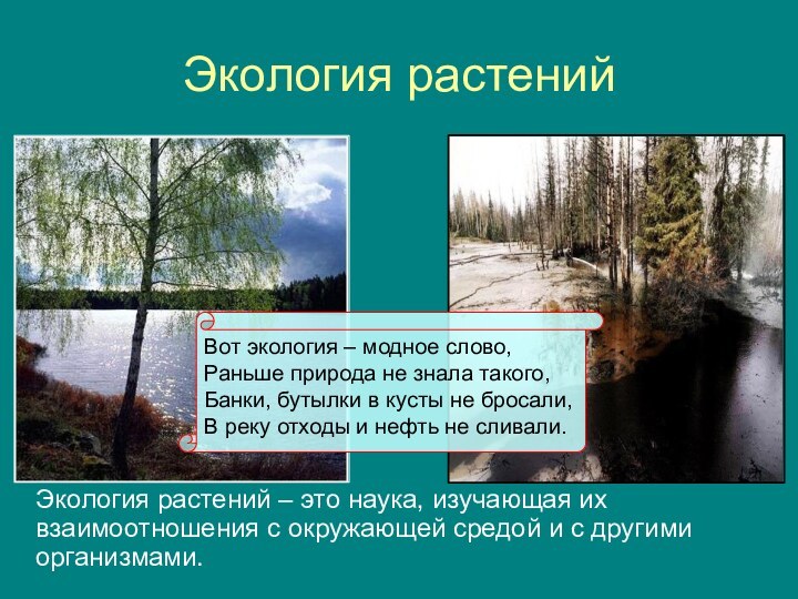 Экология растенийЭкология растений – это наука, изучающая их  взаимоотношения с окружающей