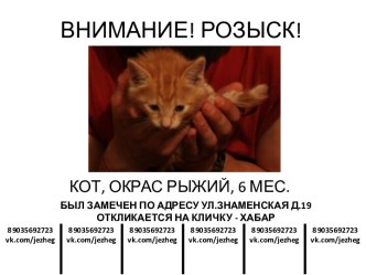 ВНИМАНИЕ! РОЗЫСК!