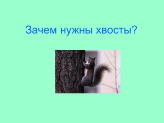 Зачем нужны хвосты