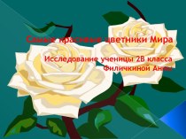 Самые красивые цветники мира