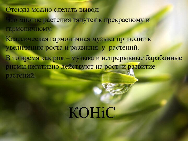 Отсюда можно сделать вывод:Что многие растения тянутся к прекрасному и гармоничному.Классическая гармоничная