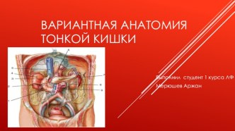 Вариантная анатомия тонкой кишки