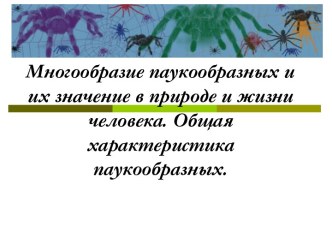 Многообразие паукообразных и их значение в природе