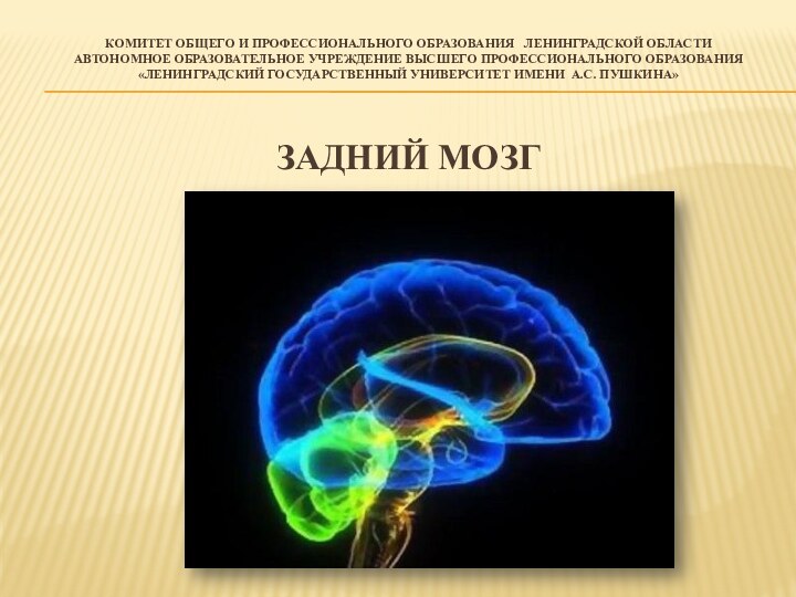 Комитет общего и профессионального образования  Ленинградской