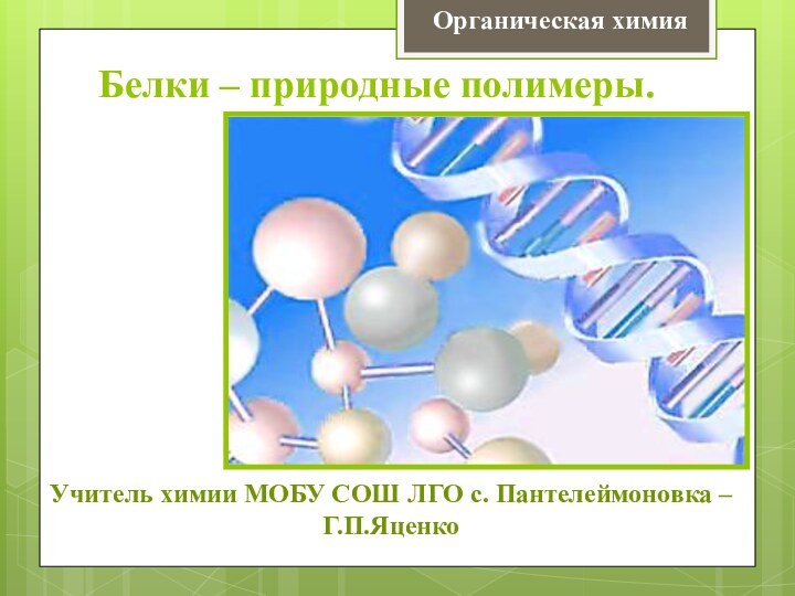 Белки – природные полимеры.Органическая химияУчитель химии МОБУ СОШ ЛГО с. Пантелеймоновка – Г.П.Яценко