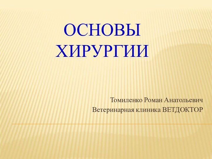 Основы хирургии Томиленко Роман АнатольевичВетеринарная клиника ВЕТДОКТОР