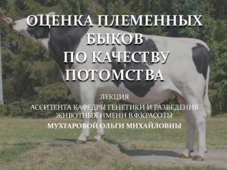 ОЦЕНКА ПЛЕМЕННЫХ БЫКОВ ПО КАЧЕСТВУ ПОТОМСТВА