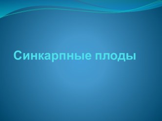 Синкарпные плоды