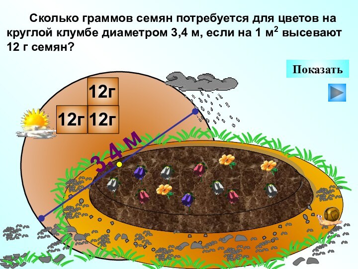 Сколько граммов семян потребуется для цветов на круглой