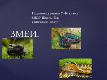 Змеи и их виды