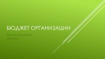 Бюджет организации