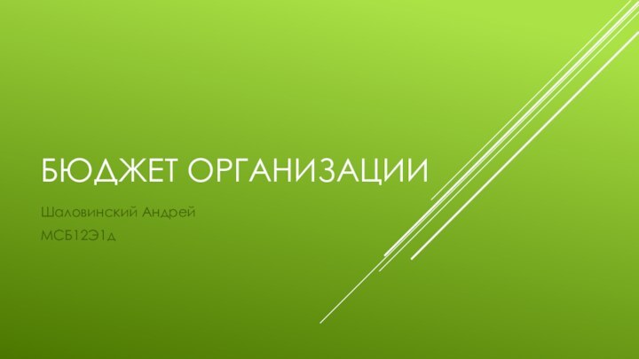 Бюджет организацииШаловинский АндрейМСБ12Э1д