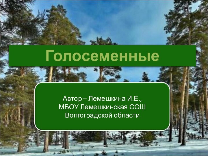 Голосеменные