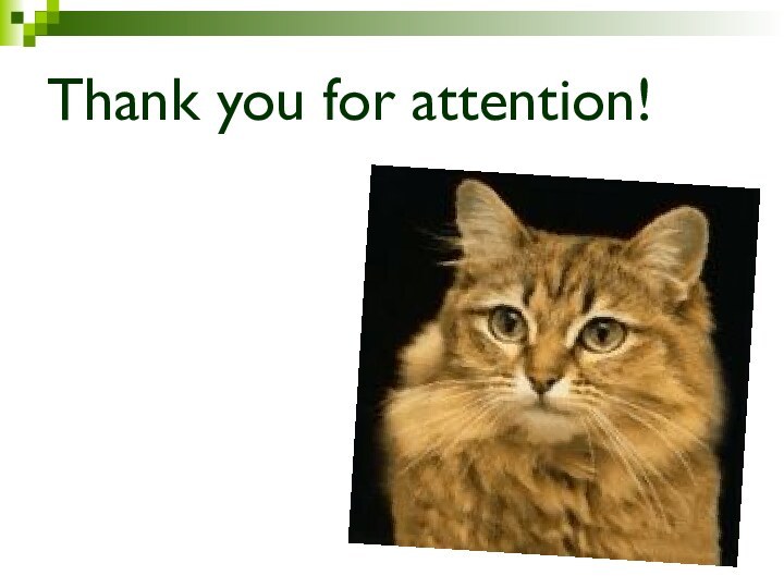 Thank you for attention!