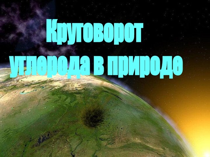 Круговорот углерода в природе