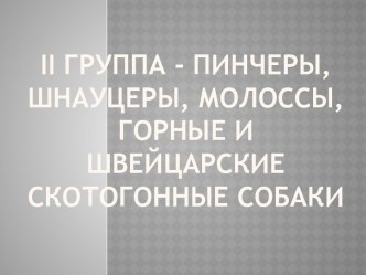 Ii ГРУППА - пинчеры, шнауцеры, молоссы, горные и швейцарские скотогонные собаки