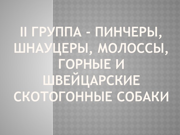 II ГРУППА - пинчеры, шнауцеры, молоссы, горные и швейцарские скотогонные собаки