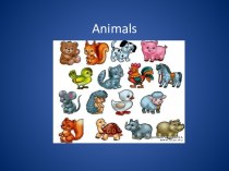 Animals