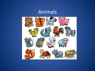 Animals