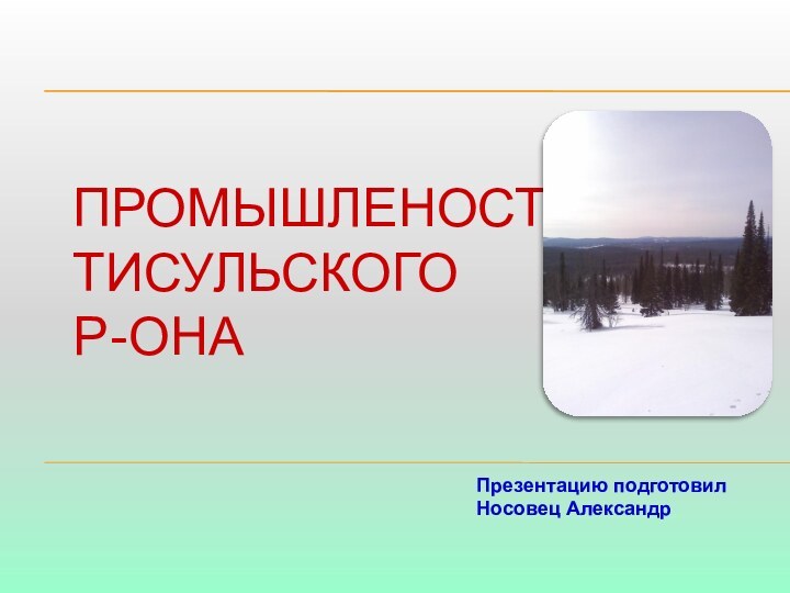 ПРОМЫШЛЕНОСТЬ ТИСУЛЬСКОГО  Р-ОНА Презентацию подготовил Носовец Александр