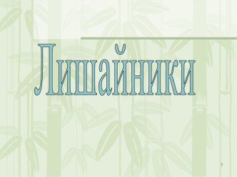 Лишайники