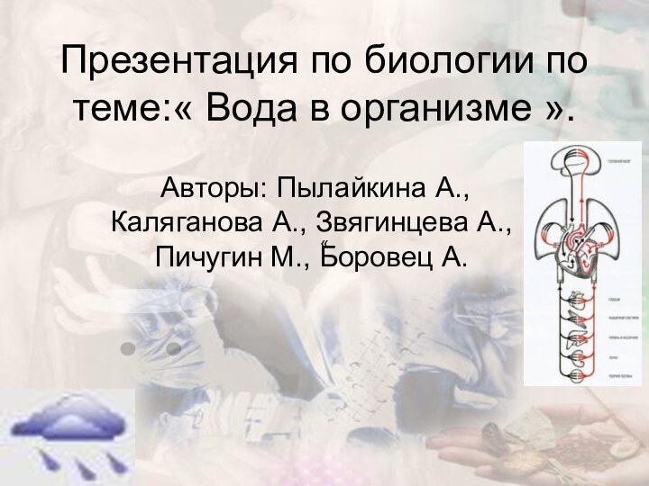 Презентация по биологии по теме:« Вода в организме ». Авторы: Пылайкина А.,