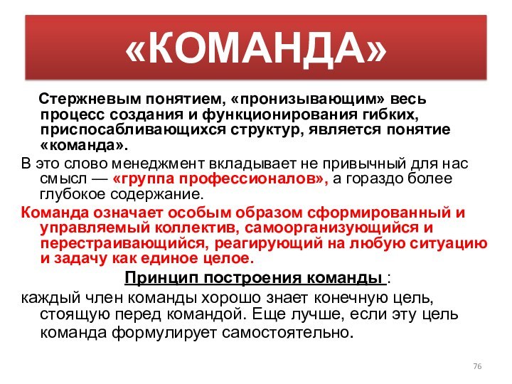 «КОМАНДА»   Стержневым понятием, «пронизывающим» весь процесс создания и функционирования гибких,