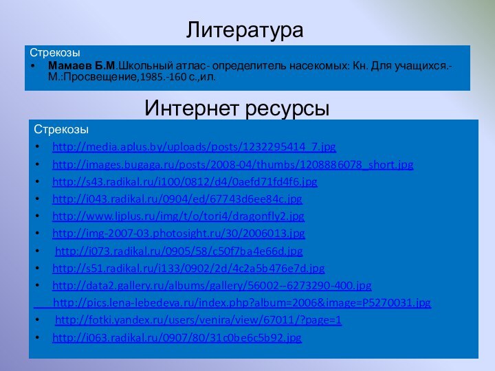 Интернет ресурсыСтрекозыhttp://media.aplus.by/uploads/posts/1232295414_7.jpghttp://images.bugaga.ru/posts/2008-04/thumbs/1208886078_short.jpghttp://s43.radikal.ru/i100/0812/d4/0aefd71fd4f6.jpghttp://i043.radikal.ru/0904/ed/67743d6ee84c.jpghttp://www.ljplus.ru/img/t/o/tori4/dragonfly2.jpghttp://img-2007-03.photosight.ru/30/2006013.jpg http://i073.radikal.ru/0905/58/c50f7ba4e66d.jpghttp://s51.radikal.ru/i133/0902/2d/4c2a5b476e7d.jpghttp://data2.gallery.ru/albums/gallery/56002--6273290-400.jpg    http://pics.lena-lebedeva.ru/index.php?album=2006&image=P5270031.jpg http://fotki.yandex.ru/users/venira/view/67011/?page=1http://i063.radikal.ru/0907/80/31c0be6c5b92.jpgЛитератураСтрекозыМамаев Б.М.Школьный атлас- определитель насекомых: Кн. Для учащихся.-М.:Просвещение,1985.-160 с.,ил.