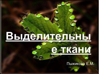 Выделительные ткани