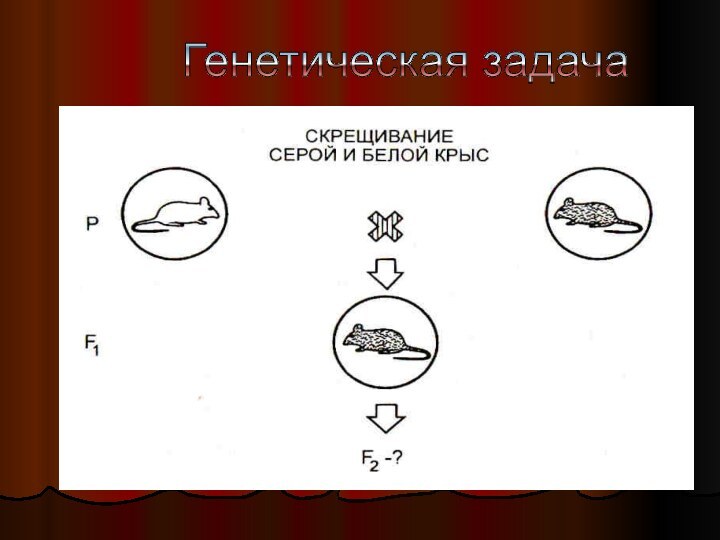 Генетическая задача