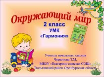 Окружающий мир