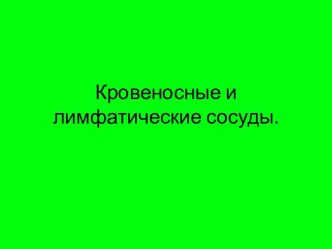 Кровеносные и лимфатические сосуды.