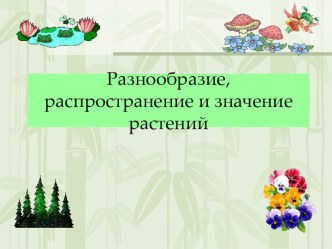 Разнообразие, распространение и значение деревьев и трав