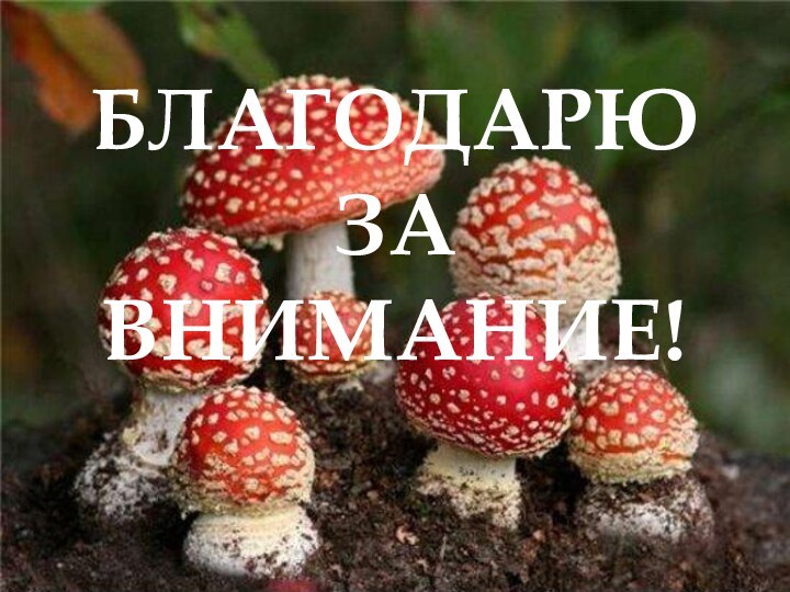 БЛАГОДАРЮ ЗА ВНИМАНИЕ!