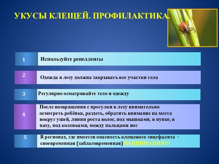 УКУСЫ КЛЕЩЕЙ. ПРОФИЛАКТИКА.Используйте репеллентыОдежда в лесу должна закрывать все участки телаРегулярно осматривайте