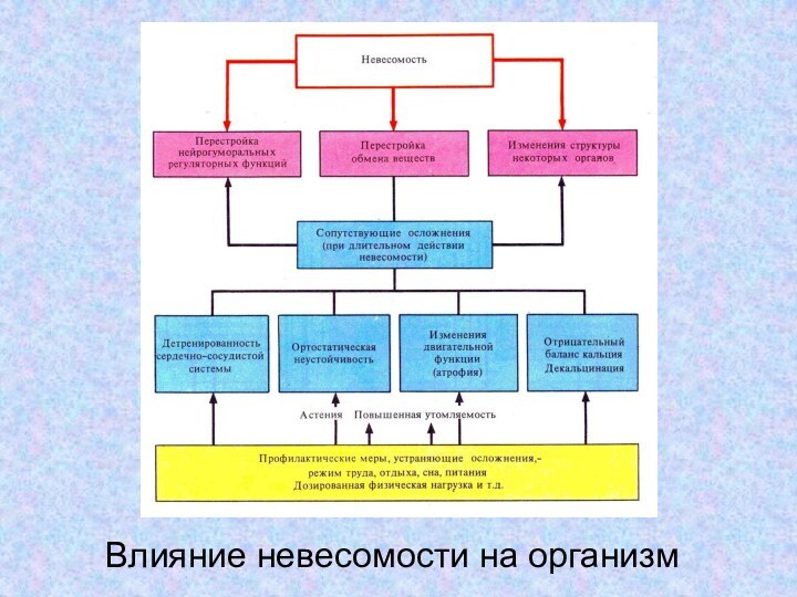 Влияние невесомости на организм