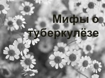 Мифы о туберкулёзе