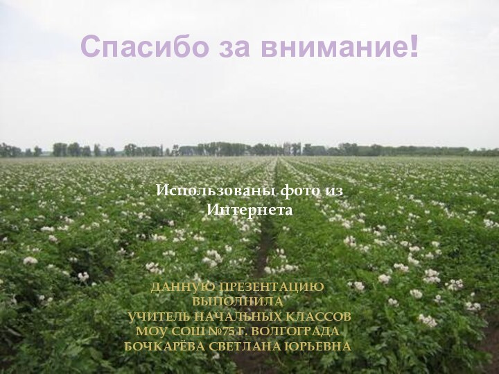 Спасибо за внимание!Данную презентацию выполнила учитель начальных классов МОУ СОШ №75 г.