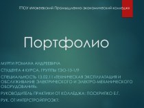 Портфолио