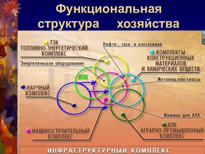 Функциональная  структура   хозяйства