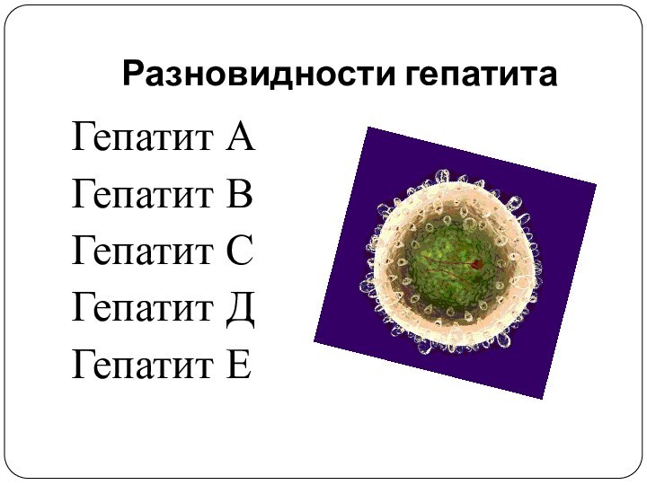 Разновидности гепатитаГепатит АГепатит ВГепатит СГепатит ДГепатит Е