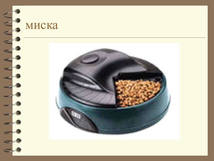 миска