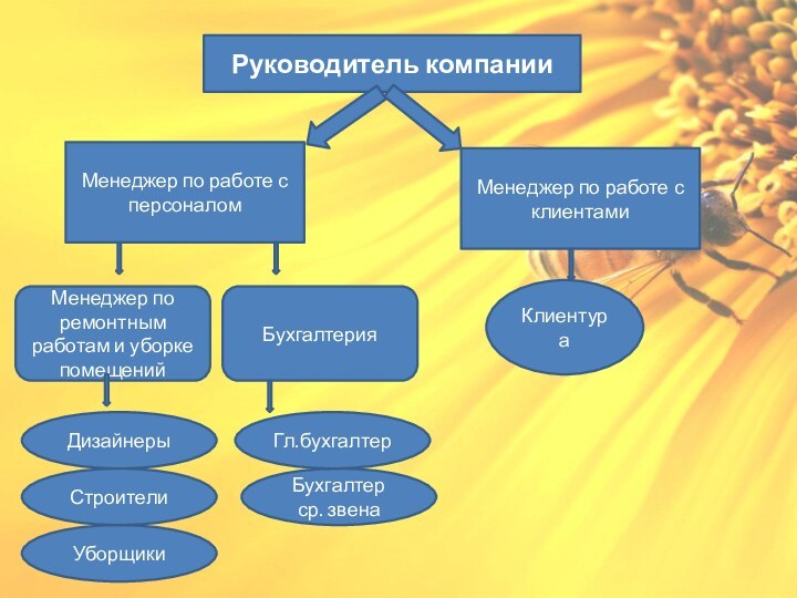 Руководитель компании Менеджер по работе с персоналомМенеджер по работе с клиентамиМенеджер по