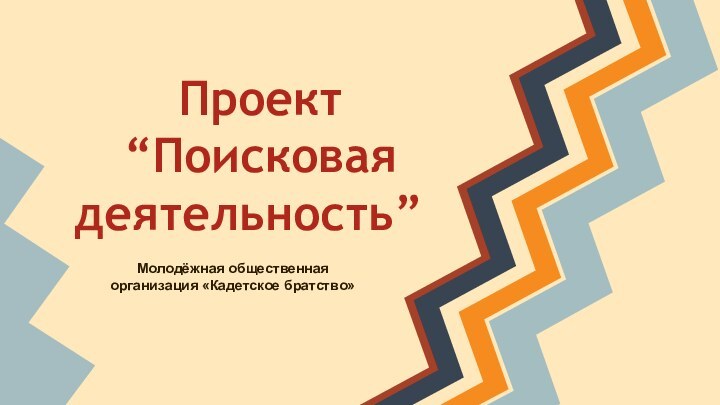 Проект“Поисковая деятельность”Молодёжная общественная организация «Кадетское братство»