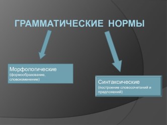 Грамматические нормы