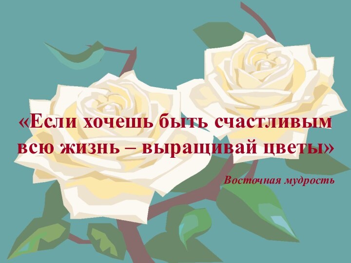 «Если хочешь быть счастливым всю жизнь – выращивай цветы»