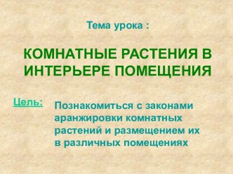 Комнатные растения в интерьере