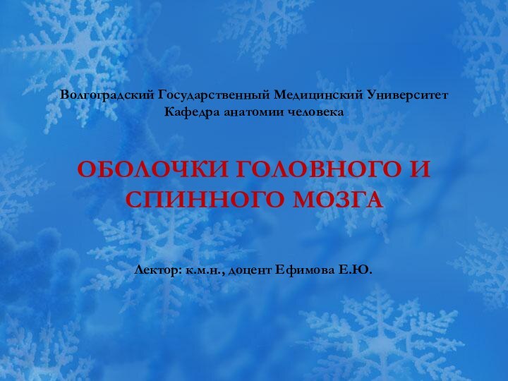 Волгоградский Государственный Медицинский Университет Кафедра анатомии человека  ОБОЛОЧКИ ГОЛОВНОГО И СПИННОГО