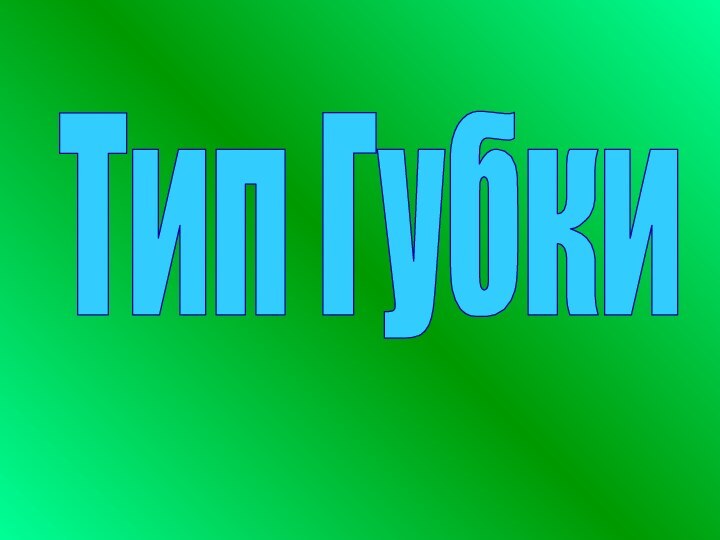 Тип Губки